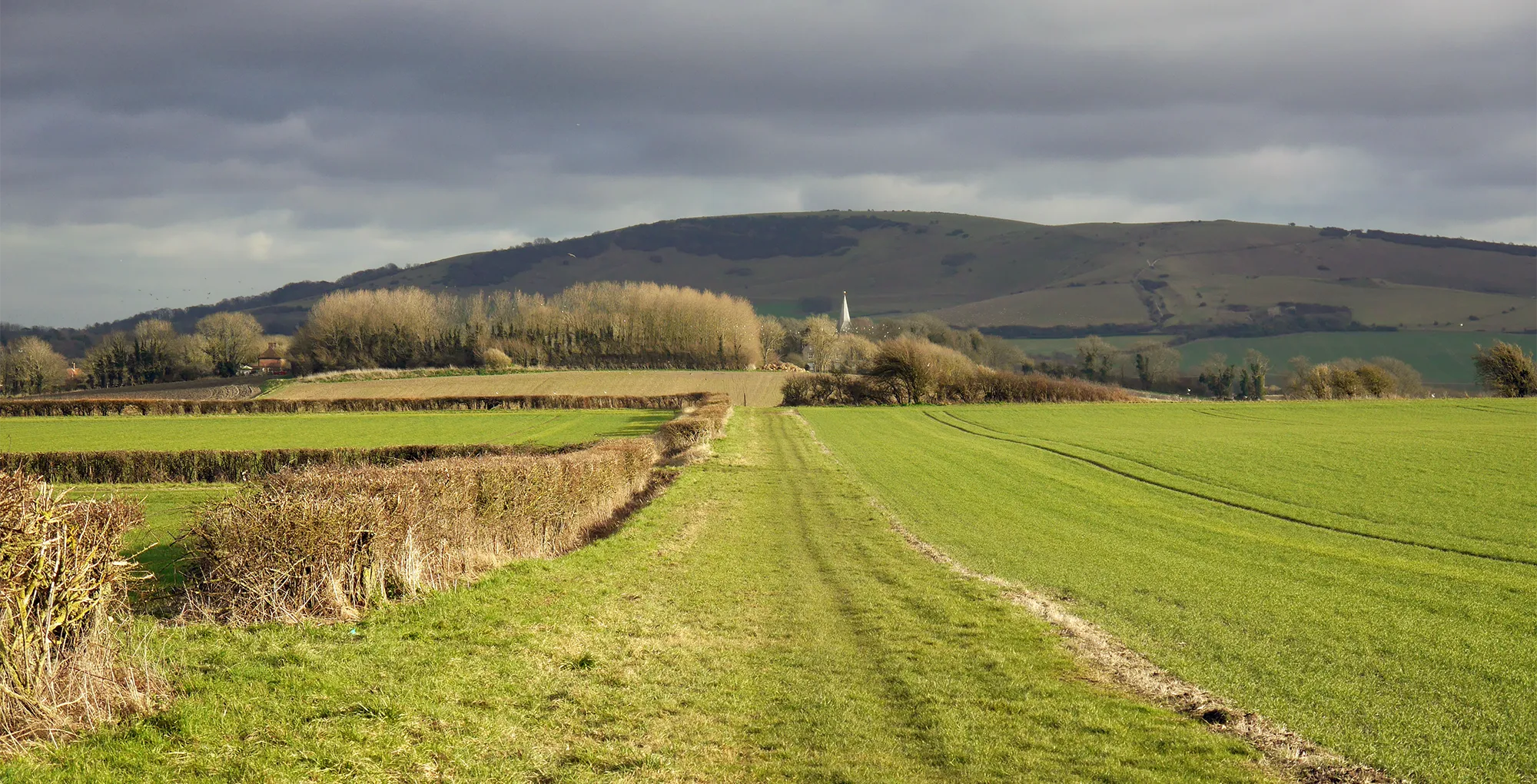 pilgrim-path-1